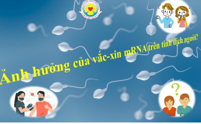 Ảnh hưởng của vắc-xin mRNA trên tinh dịch người?
